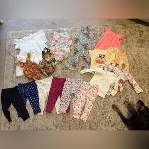 9-12 Month Baby Girl Clothing Bundle/Lot